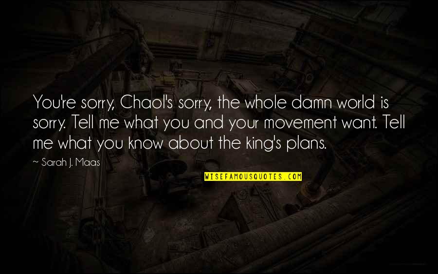 Damn The World Quotes By Sarah J. Maas: You're sorry, Chaol's sorry, the whole damn world Damn The World Quotes By Sarah J. Maas: You're sorry, Chaol's sorry, the whole damn world