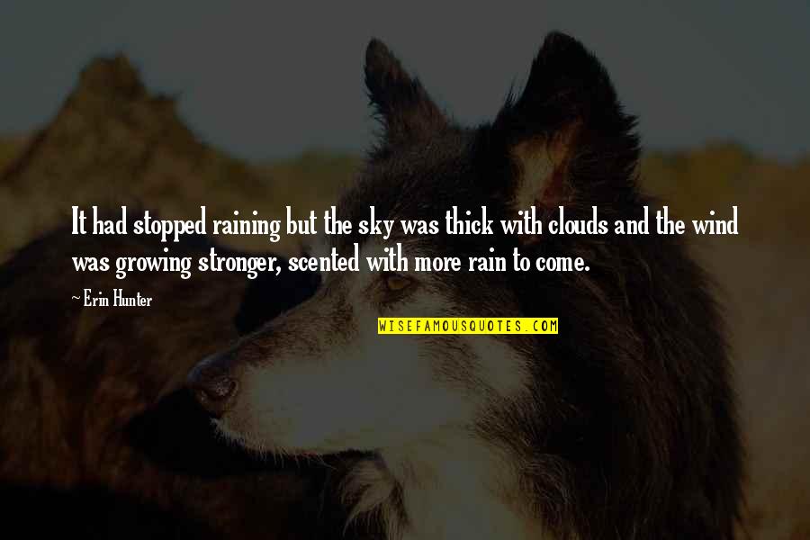 Damnable Offense Quotes By Erin Hunter: It had stopped raining but the sky was