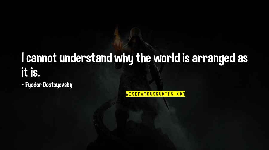 Damon Drapers Quotes By Fyodor Dostoyevsky: I cannot understand why the world is arranged