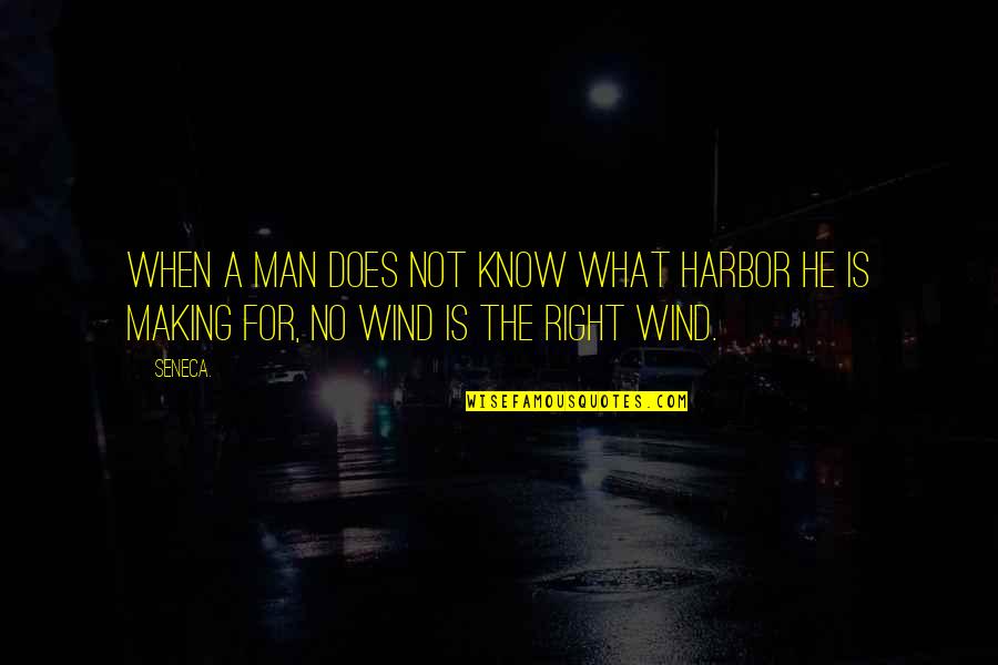 Damon Salvatore And Mason Lockwood Quotes By Seneca.: When a man does not know what harbor