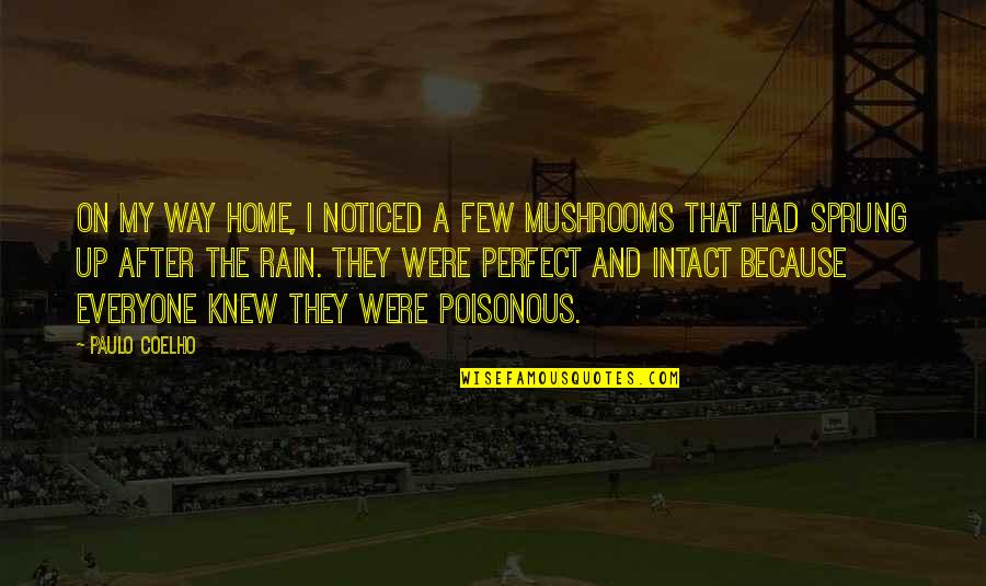 Damone Fast Quotes By Paulo Coelho: On my way home, I noticed a few