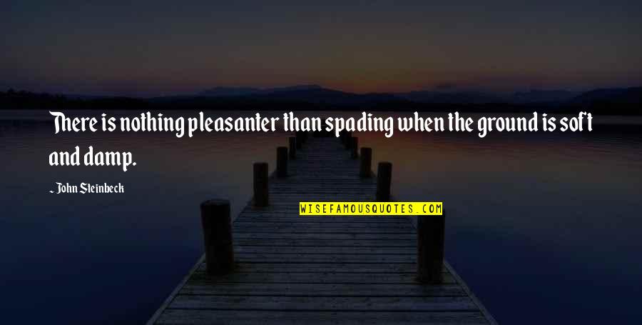Damp Quotes By John Steinbeck: There is nothing pleasanter than spading when the