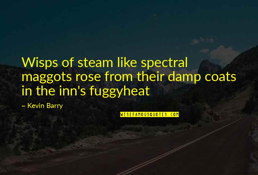 Damp Quotes By Kevin Barry: Wisps of steam like spectral maggots rose from