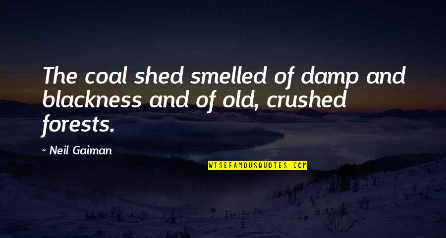 Damp Quotes By Neil Gaiman: The coal shed smelled of damp and blackness