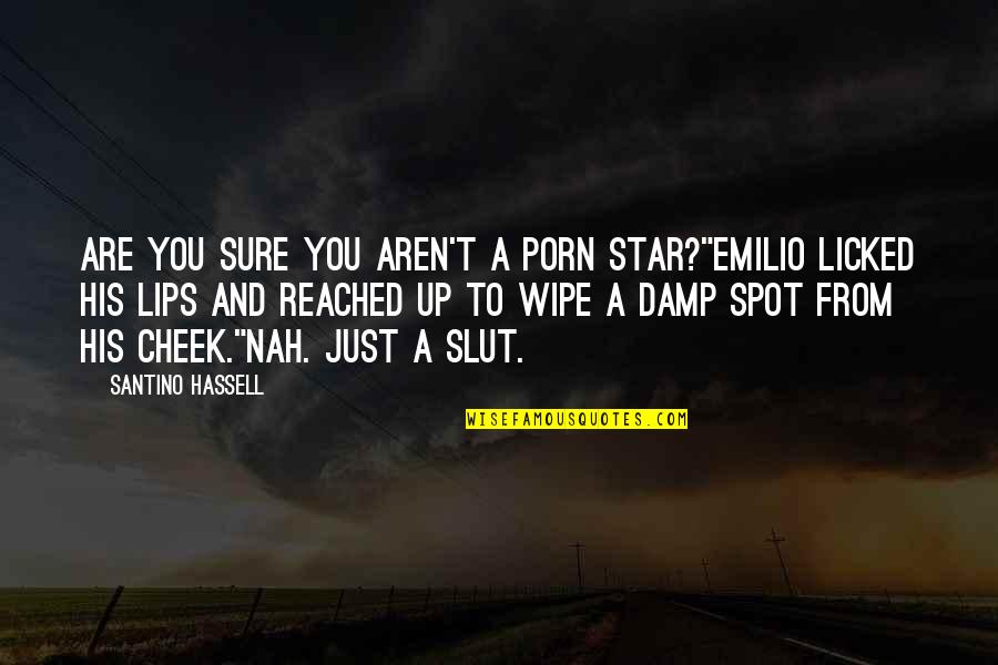 Damp Quotes By Santino Hassell: Are you sure you aren't a porn star?"Emilio