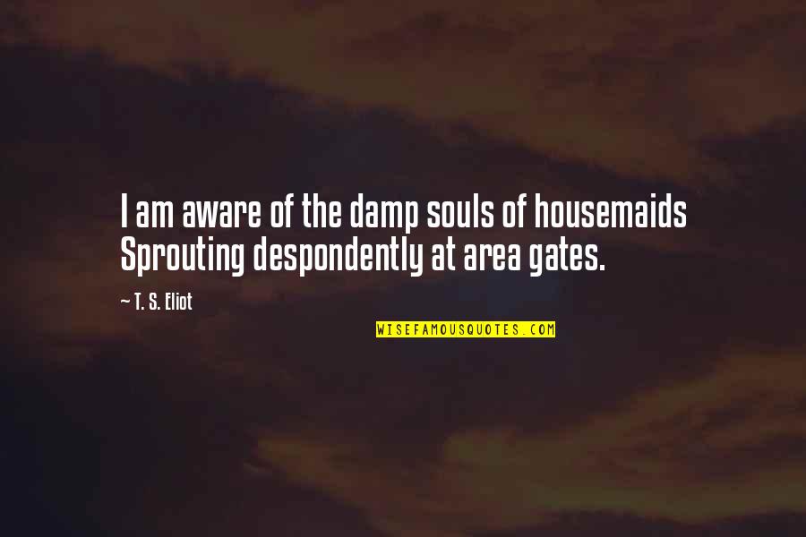 Damp Quotes By T. S. Eliot: I am aware of the damp souls of