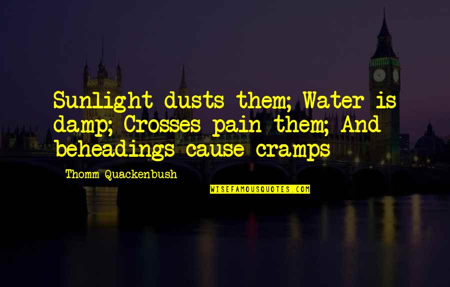 Damp Quotes By Thomm Quackenbush: Sunlight dusts them; Water is damp; Crosses pain