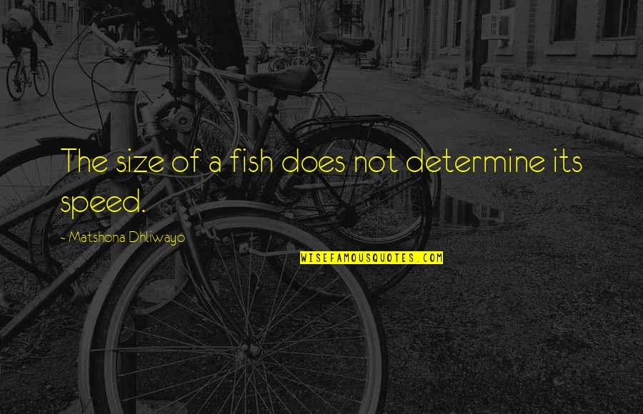 Dampened Synonym Quotes By Matshona Dhliwayo: The size of a fish does not determine