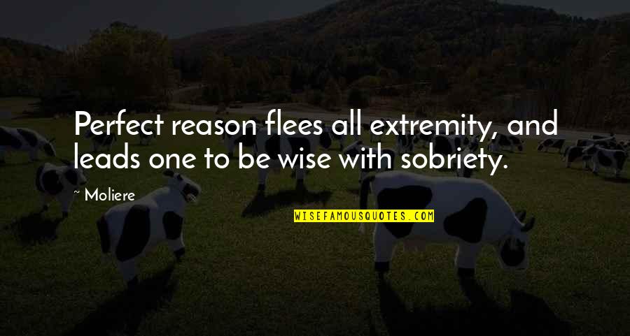 Dampierre Park Quotes By Moliere: Perfect reason flees all extremity, and leads one
