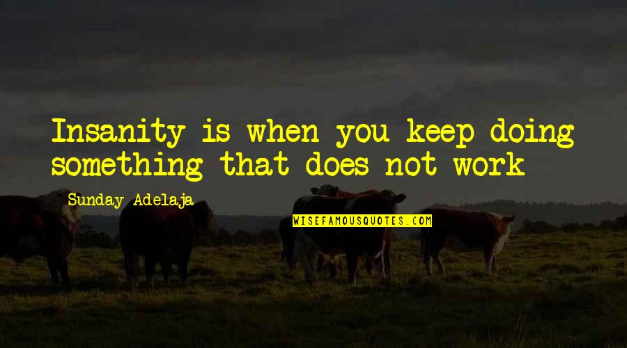 Dan Ariens Quotes By Sunday Adelaja: Insanity is when you keep doing something that