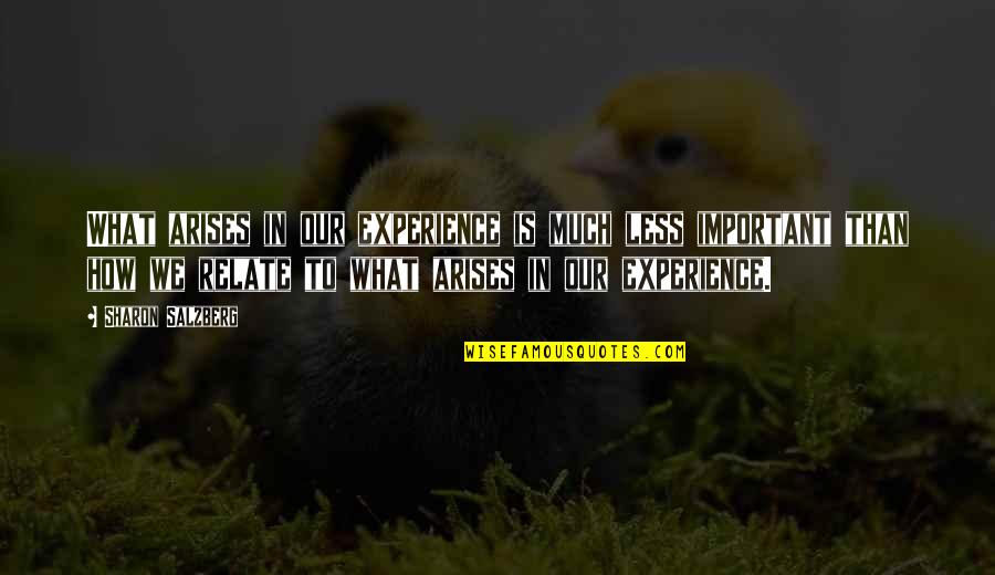 Dan Arinos Do Caixao Quotes By Sharon Salzberg: What arises in our experience is much less