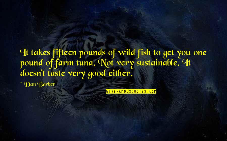 Dan Barber Quotes By Dan Barber: It takes fifteen pounds of wild fish to Dan Barber Quotes By Dan Barber: It takes fifteen pounds of wild fish to
