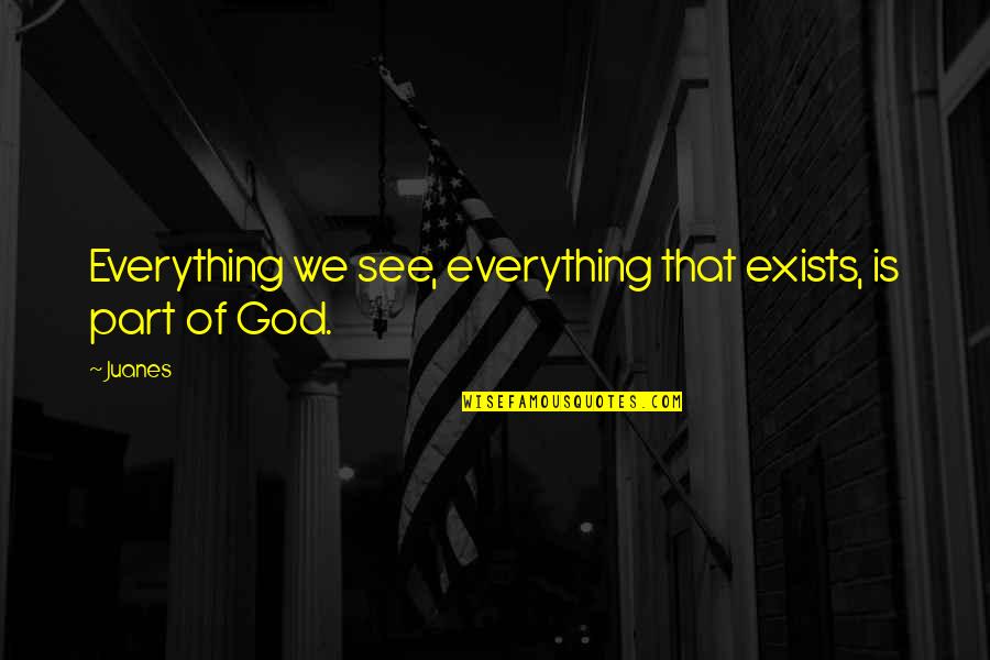 Dan Bergstein Quotes By Juanes: Everything we see, everything that exists, is part