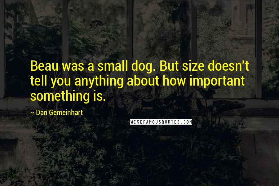 Dan Gemeinhart quotes: Beau was a small dog. But size doesn't tell you anything about how important something is.