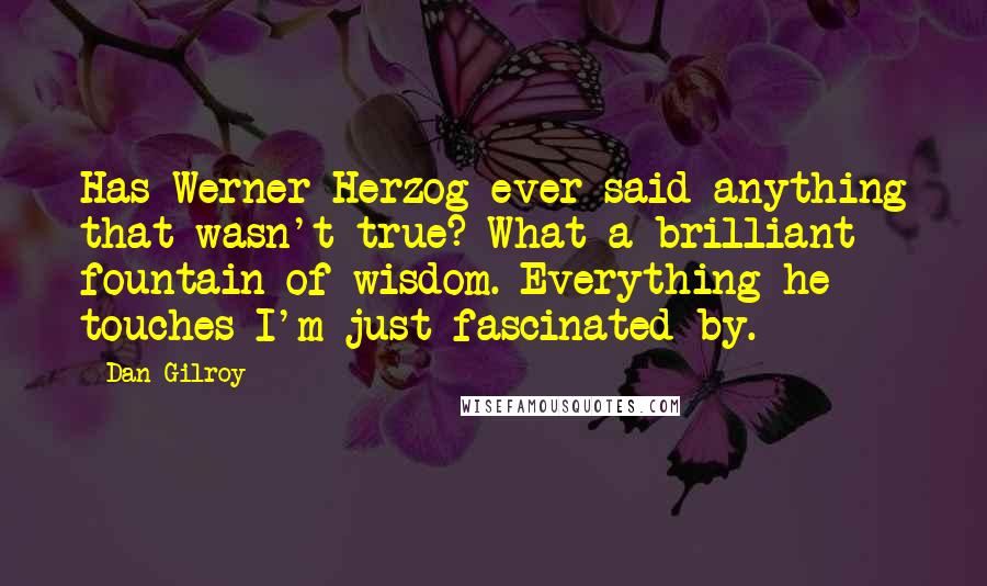 Dan Gilroy quotes: Has Werner Herzog ever said anything that wasn't true? What a brilliant fountain of wisdom. Everything he touches I'm just fascinated by.