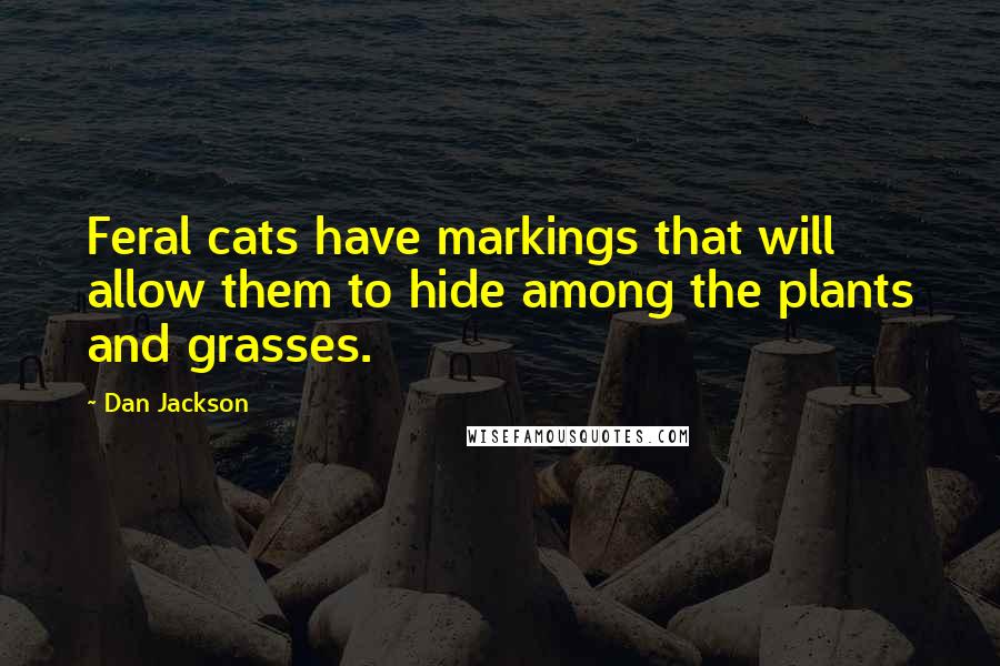 Dan Jackson quotes: Feral cats have markings that will allow them to hide among the plants and grasses.