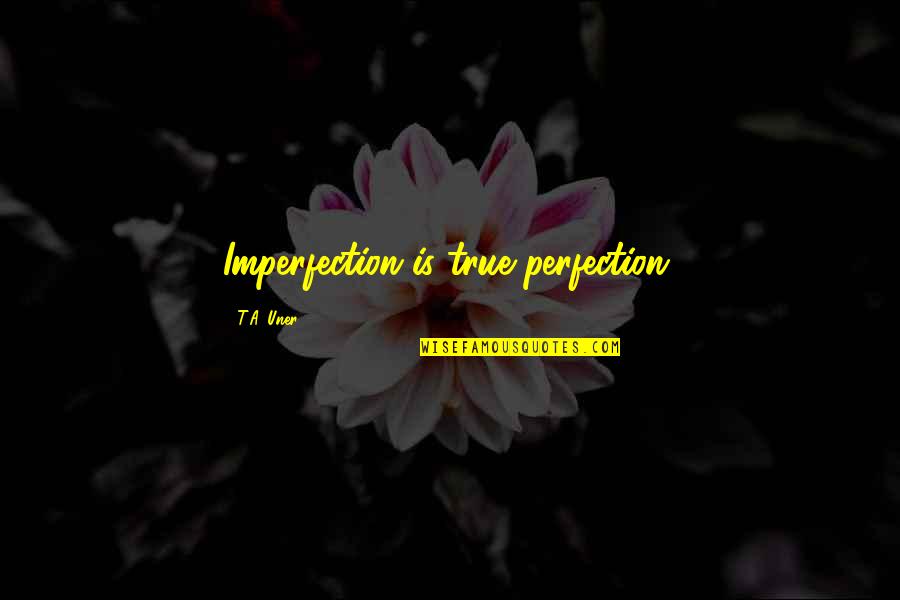 Dan Jay Aircraft Sales Quotes By T.A. Uner: Imperfection is true perfection.