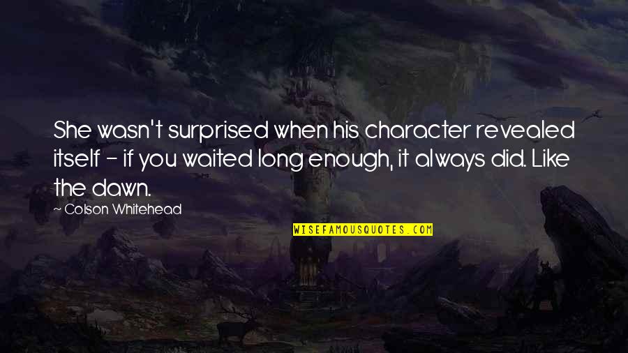 Dan Levitan Quotes By Colson Whitehead: She wasn't surprised when his character revealed itself