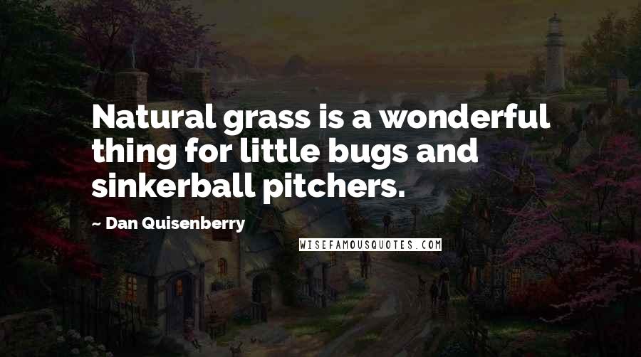 Dan Quisenberry quotes: Natural grass is a wonderful thing for little bugs and sinkerball pitchers.