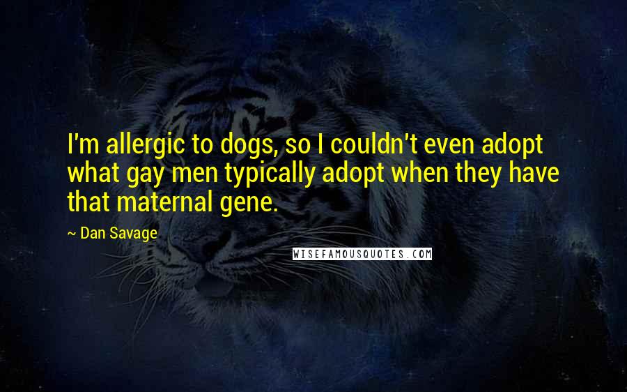 Dan Savage quotes: I'm allergic to dogs, so I couldn't even adopt what gay men typically adopt when they have that maternal gene.