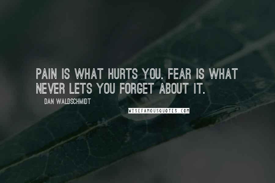Dan Waldschmidt quotes: Pain is what hurts you. Fear is what never lets you forget about it.