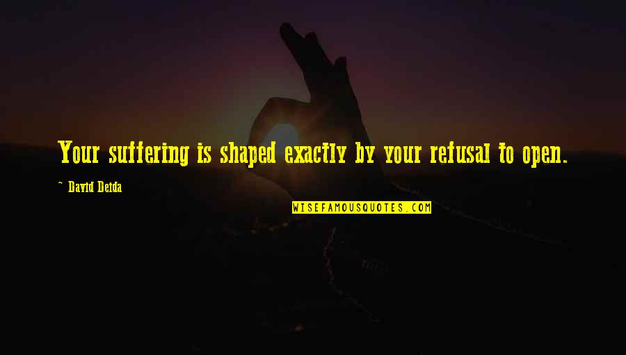 Dan Zadra Quotes By David Deida: Your suffering is shaped exactly by your refusal