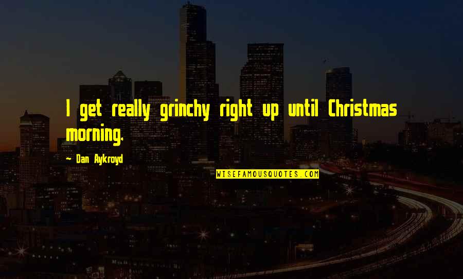 Dan224 Quotes By Dan Aykroyd: I get really grinchy right up until Christmas