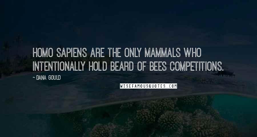 Dana Gould quotes: Homo sapiens are the only mammals who intentionally hold Beard Of Bees competitions.