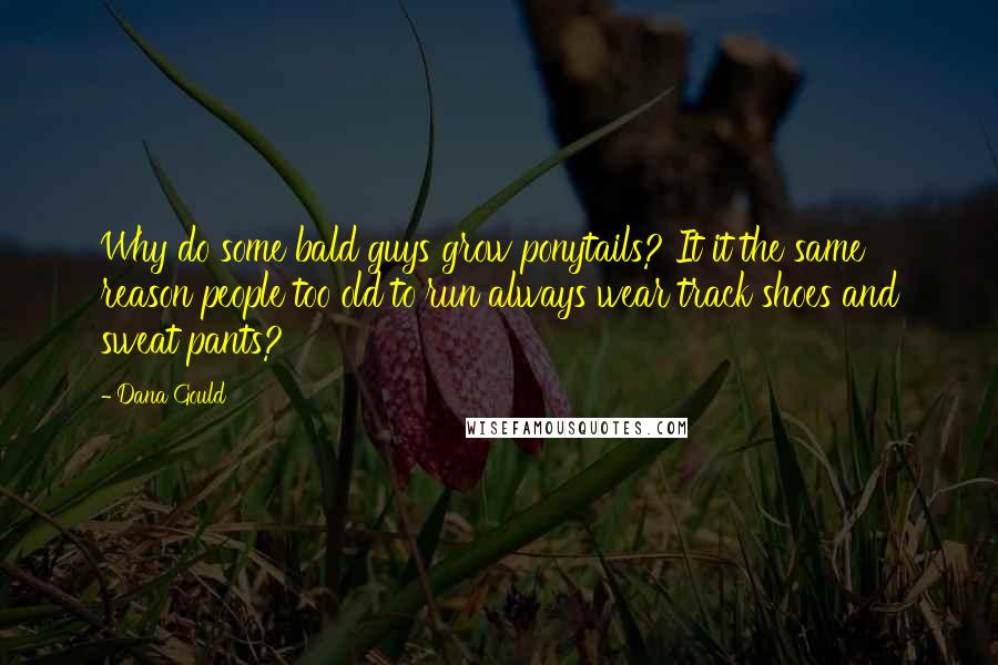 Dana Gould quotes: Why do some bald guys grow ponytails? It it the same reason people too old to run always wear track shoes and sweat pants? Dana Gould quotes: Why do some bald guys grow ponytails? It it the same reason people too old to run always wear track shoes and sweat pants?