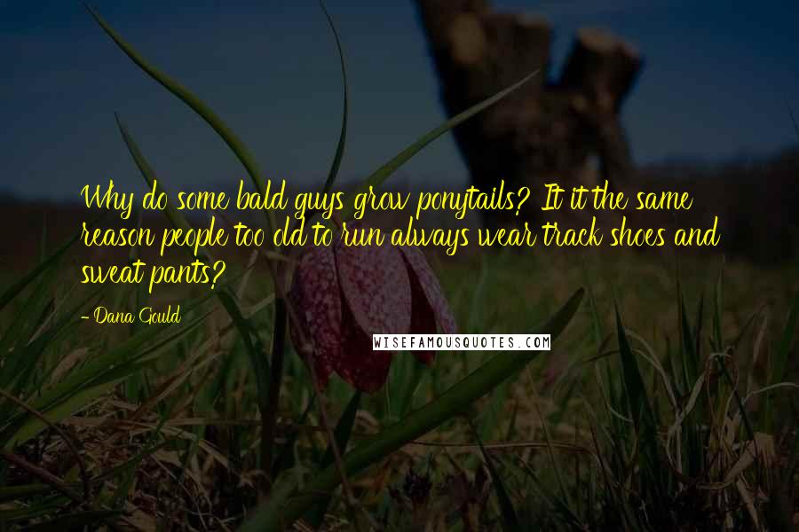 Dana Gould quotes: Why do some bald guys grow ponytails? It it the same reason people too old to run always wear track shoes and sweat pants?