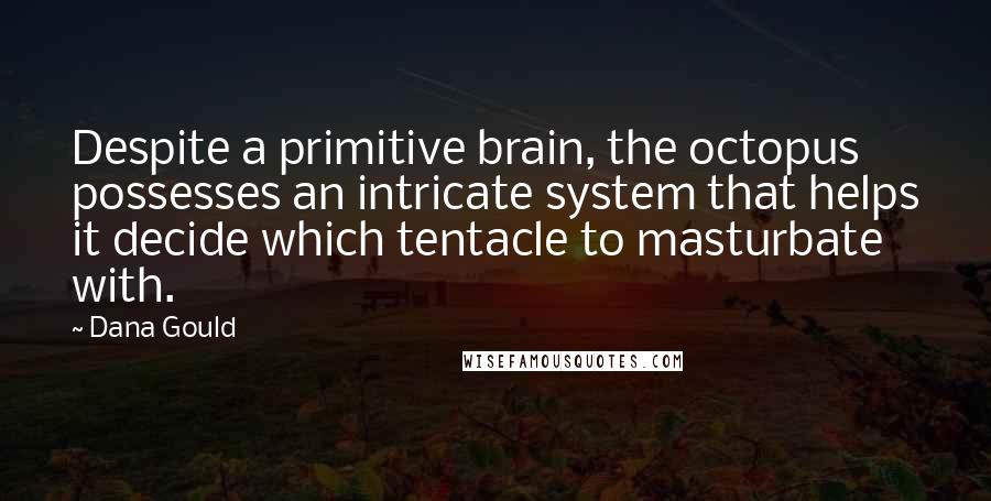 Dana Gould quotes: Despite a primitive brain, the octopus possesses an intricate system that helps it decide which tentacle to masturbate with. Dana Gould quotes: Despite a primitive brain, the octopus possesses an intricate system that helps it decide which tentacle to masturbate with.