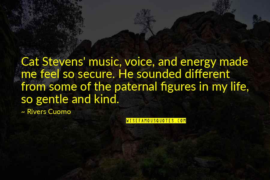 Dana Kai Quotes By Rivers Cuomo: Cat Stevens' music, voice, and energy made me