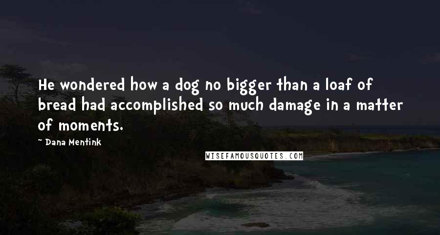 Dana Mentink quotes: He wondered how a dog no bigger than a loaf of bread had accomplished so much damage in a matter of moments.
