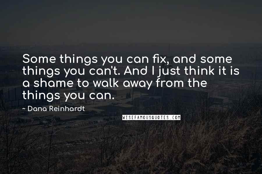 Dana Reinhardt quotes: Some things you can fix, and some things you can't. And I just think it is a shame to walk away from the things you can.