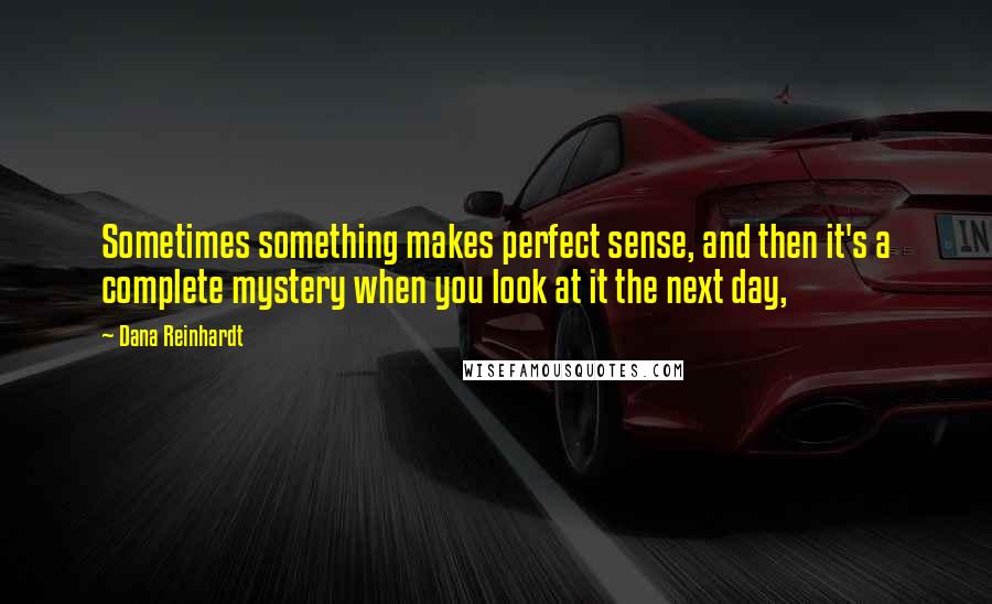 Dana Reinhardt quotes: Sometimes something makes perfect sense, and then it's a complete mystery when you look at it the next day,