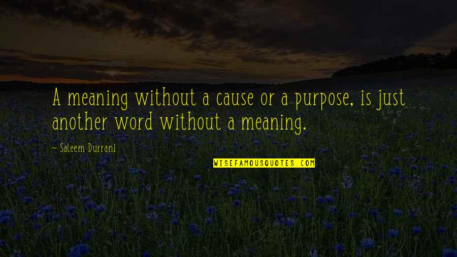 Danaan Greece Quotes By Saleem Durrani: A meaning without a cause or a purpose,