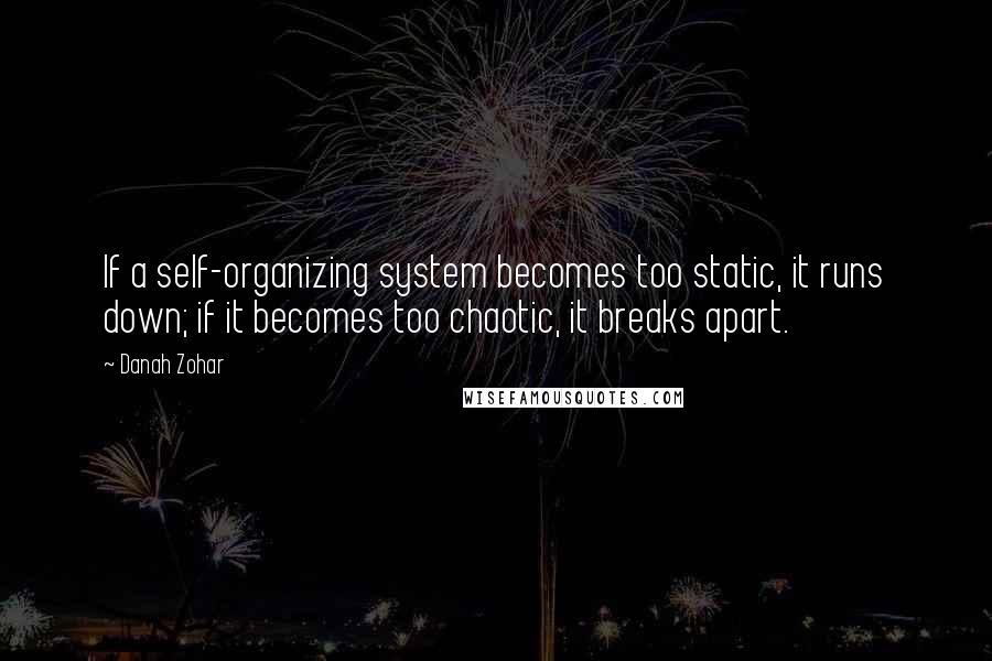 Danah Zohar quotes: If a self-organizing system becomes too static, it runs down; if it becomes too chaotic, it breaks apart.