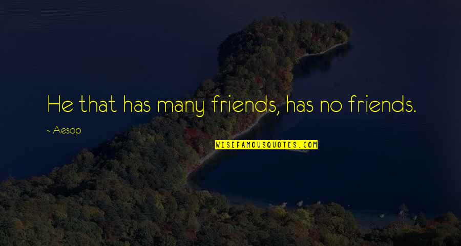 Danahey Shawn Quotes By Aesop: He that has many friends, has no friends.