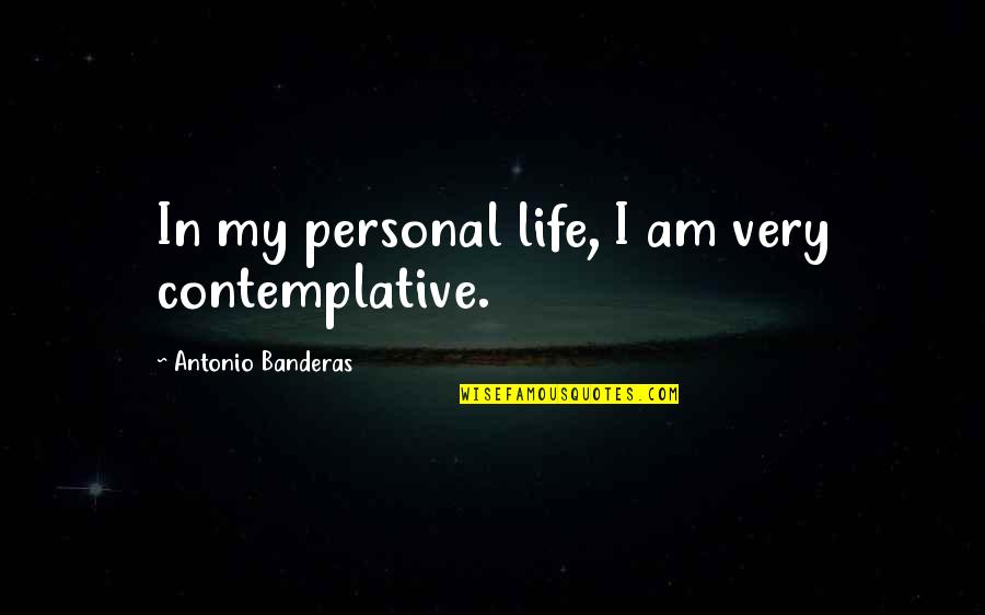 Danann Quotes By Antonio Banderas: In my personal life, I am very contemplative.