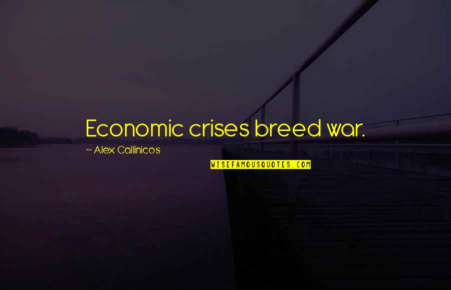 Danath Akarsha Quotes By Alex Callinicos: Economic crises breed war. Danath Akarsha Quotes By Alex Callinicos: Economic crises breed war.