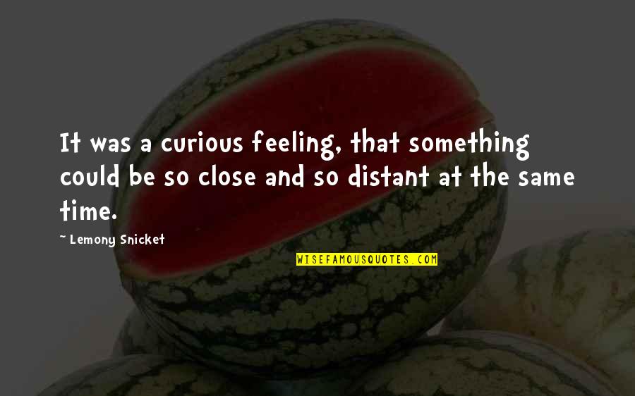 Danath Trollbane Quotes By Lemony Snicket: It was a curious feeling, that something could