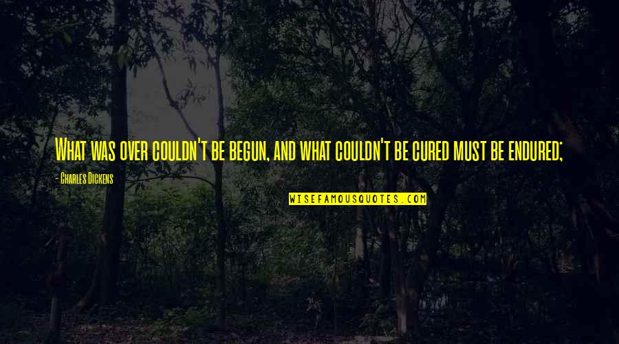 Danberg Beer Quotes By Charles Dickens: What was over couldn't be begun, and what