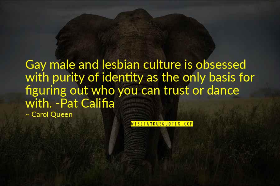 Dance And Culture Quotes By Carol Queen: Gay male and lesbian culture is obsessed with