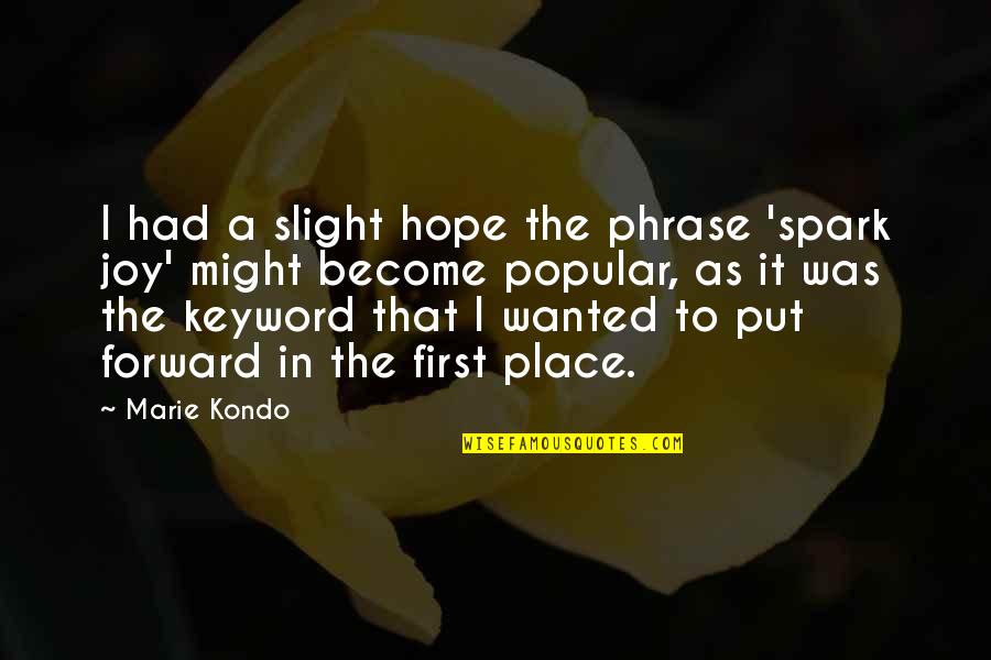 Dance Flick 2009 Quotes By Marie Kondo: I had a slight hope the phrase 'spark