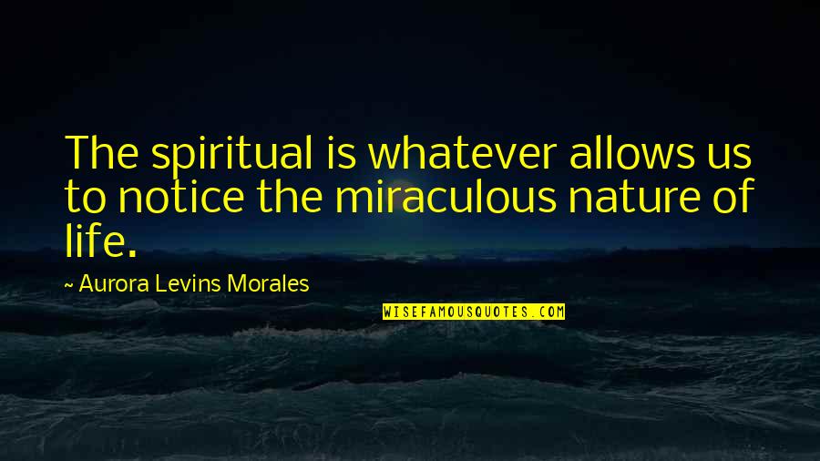 Dance Flick A-coin Quotes By Aurora Levins Morales: The spiritual is whatever allows us to notice