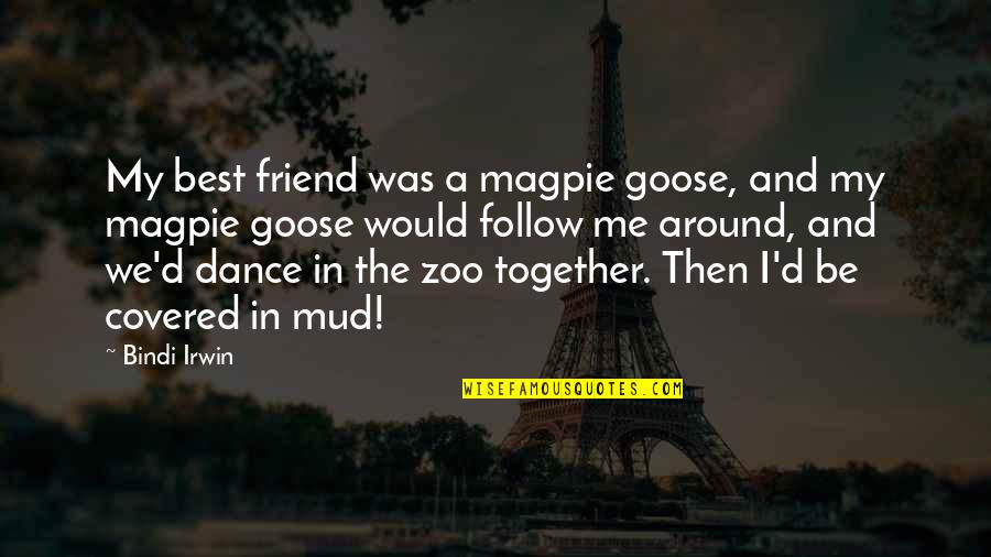 Dance With Best Friend Quotes By Bindi Irwin: My best friend was a magpie goose, and