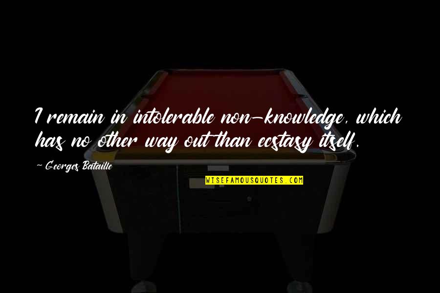 Dancehall Reggae Quotes By Georges Bataille: I remain in intolerable non-knowledge, which has no