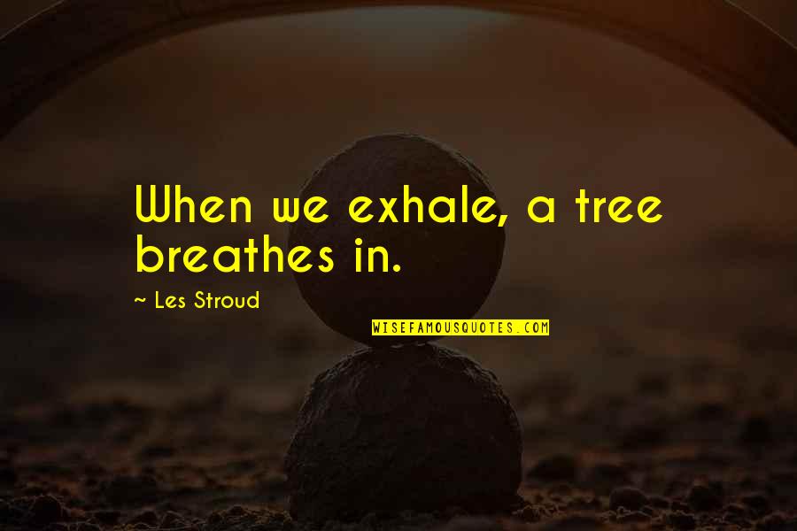 Dancehall Reggae Quotes By Les Stroud: When we exhale, a tree breathes in.