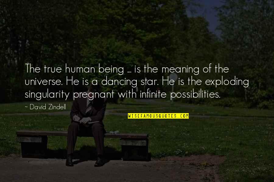 Dancing He Quotes By David Zindell: The true human being ... is the meaning Dancing He Quotes By David Zindell: The true human being ... is the meaning