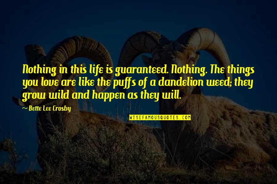 Dandelion Life Quotes By Bette Lee Crosby: Nothing in this life is guaranteed. Nothing. The Dandelion Life Quotes By Bette Lee Crosby: Nothing in this life is guaranteed. Nothing. The